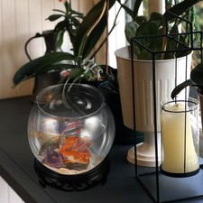 1 set of Unbreakable Fish Tank Round Fish Tank Desktop Fish Tank Small Fish