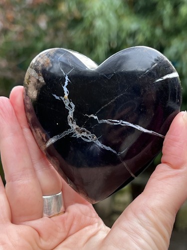 Petrified fossilised wood - fossilised,