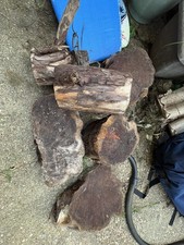 5 Large yew logs For Wood Turning