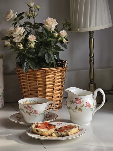 Piece abbeydale bone china - 20,