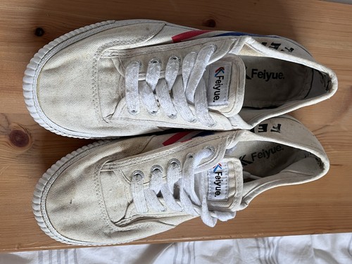 Feiyue black canvas trainers - canvas,