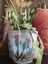 Vintage { The Tain Pottery