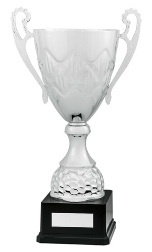 Large silver prestige metal - silver,