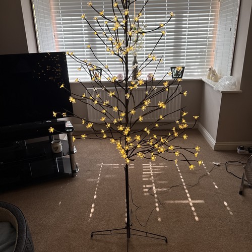 Christmas tree cherry blossom - cherry,