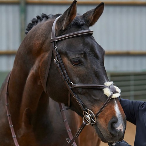 John whitaker eastwood grackle - john,