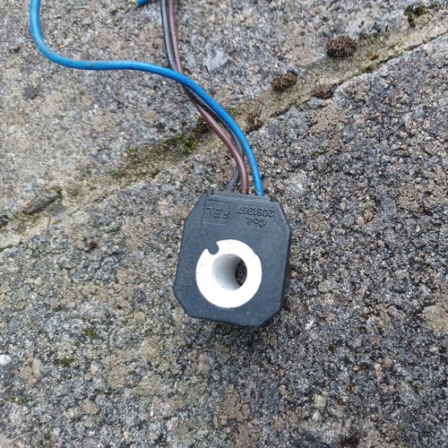 Riello burner solenoid - 40, coil