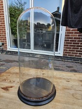  Large Glass Dome with Wood Base