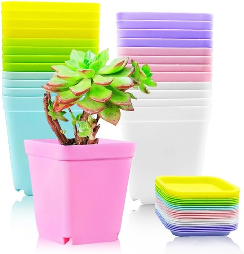 Pack colorful flower pots - colorful,