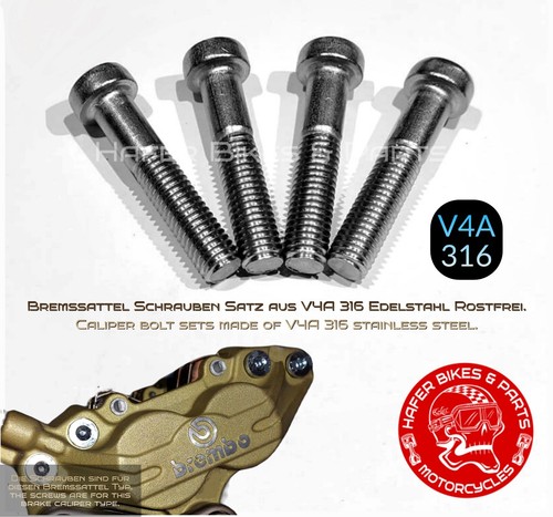 Ducati monster 600 stainless - monster,