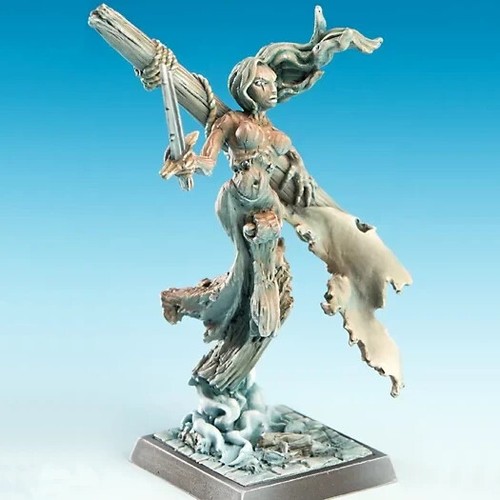 Sch 017 freebooter fate - freebooter's,