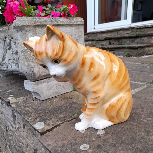 Just cats staffordshire - just,