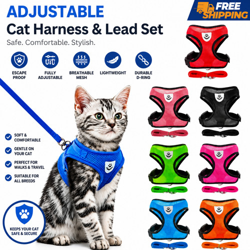 Adjustable cat harness and - cat,