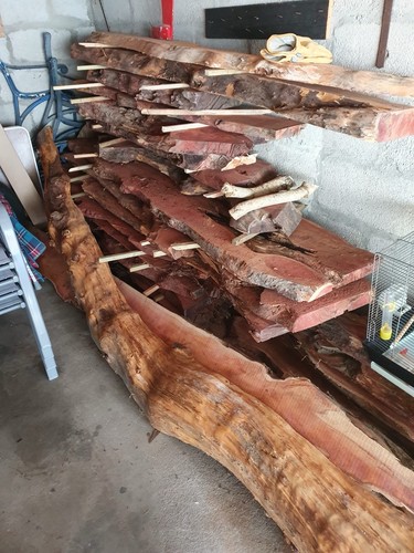 Yew wood log for - yew,