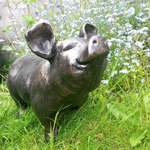 Aged gold pig - gold,