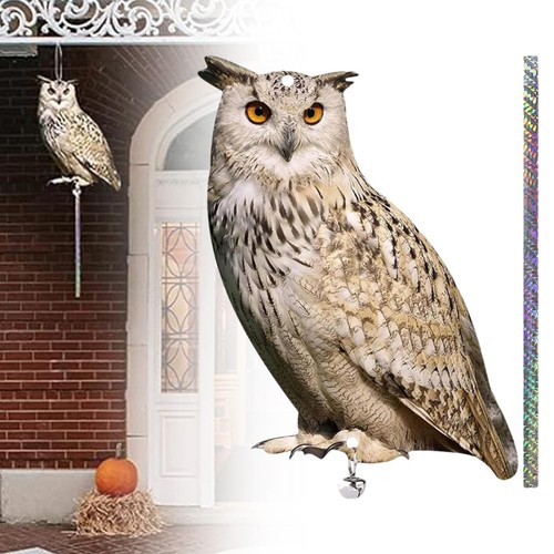 Realistic owl decoy - realistic,