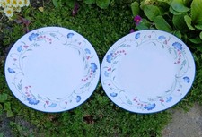 2 x Royal Doulton Windermere