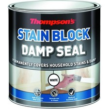 Thompsons Stain Block Damp Seal 250ml Aerosol Spray Paint Primer Sealer