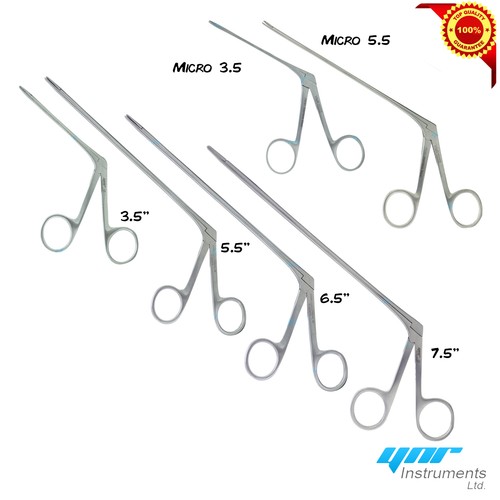 Ynr crocodile alligator ear - ynr,