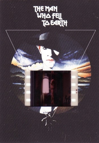 2015 the man who - fell, earth