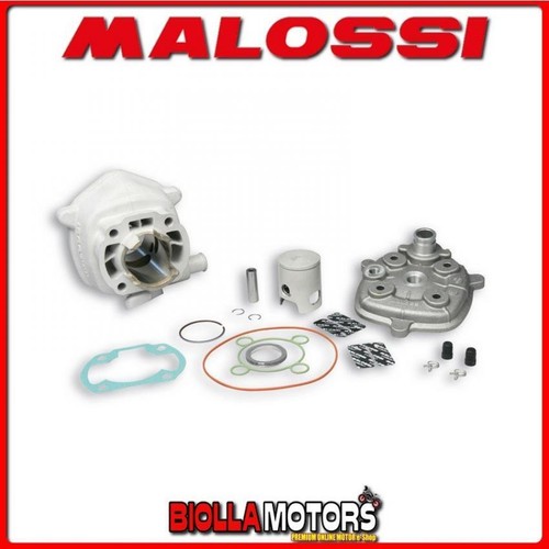 318559 thermal group malossi - 318559,