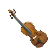 Viola Outfit 15" Stentor
