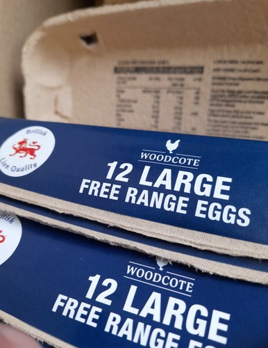 Reclaimed empty dozen egg - empty,