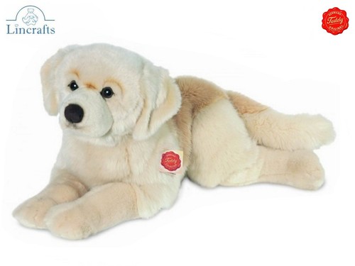 Teddy hermann golden retriever - hermann,