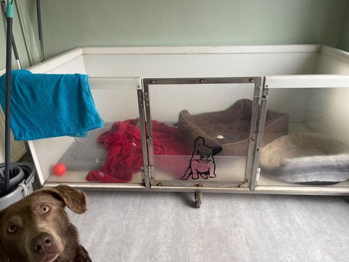 Large whelping box for - whelping,