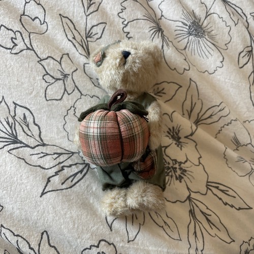 Boyds bears holding pumpkin - bears,