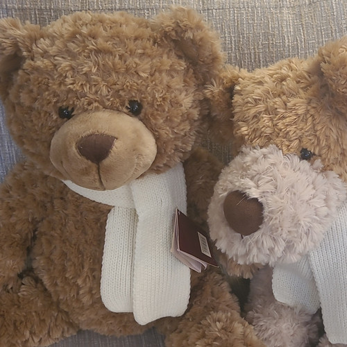 Bhs plush teddy bears soft - bhs., 2x