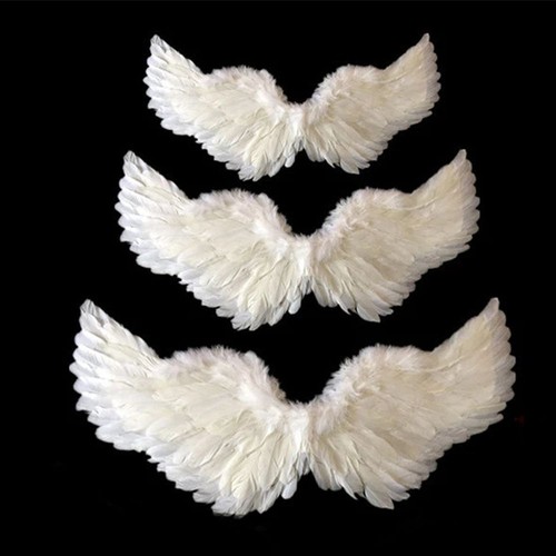 Feather angel wings christmas - wings,