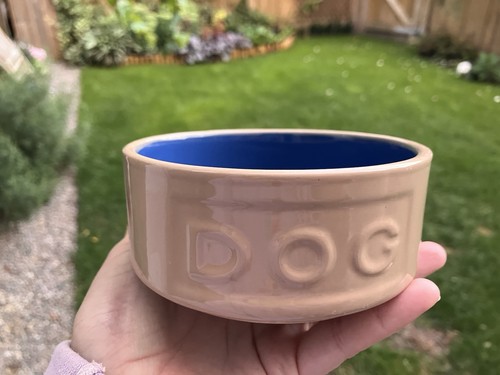 Mason cash dog bowl - -, beige
