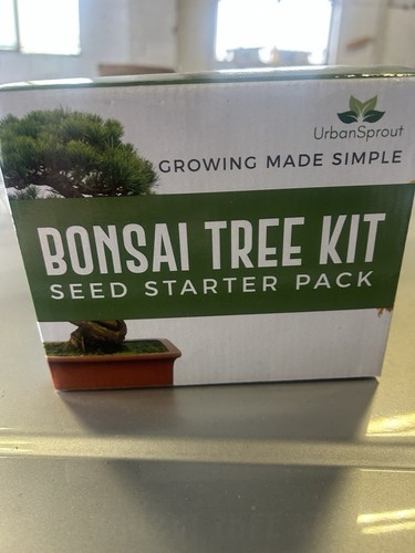 Bonsay tree kit - bonsay,