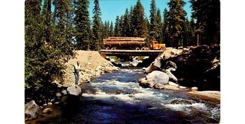 Susanville 1960s logging - ca,