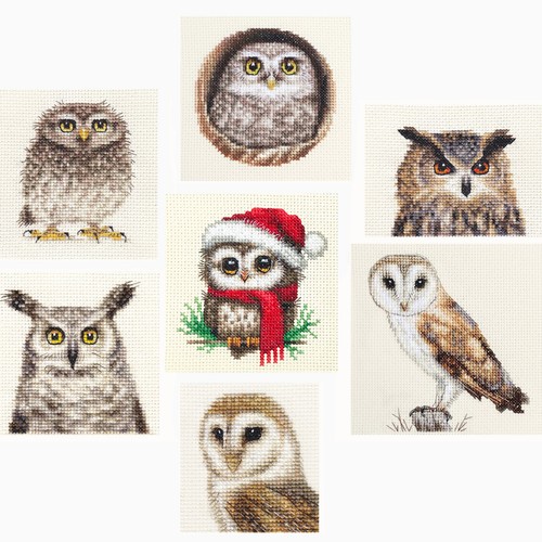 Owls barn owl - owls,, little