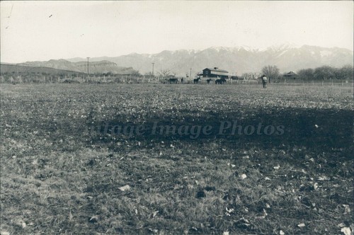 1924 horses telephone poles - 1924,