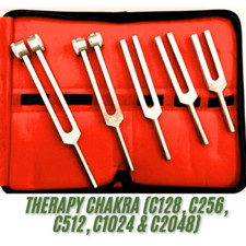 Tuning Fork Set of 5 for Healing, Vibration Therapy & Chakra Balancing students
