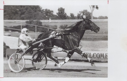 Fame quoin stretch - fame, il