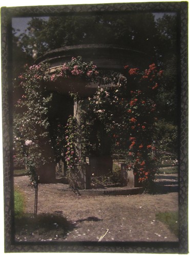 Autochrome flower garden - autochrome,