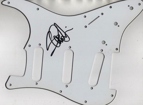 Steve harris signed guitar - steve,