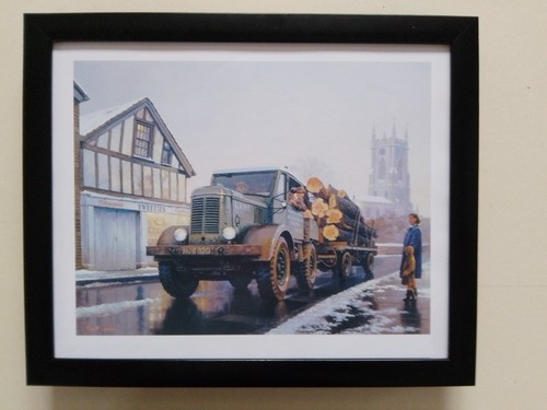 Malcolm root print - root,