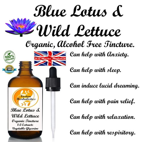 Organic blue lotus wild - blue,