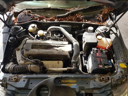 2000 2006 mk1 saab 5 - 2000-2006, 9-5