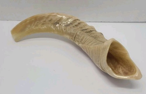 Vintage jewish shofar kosher - jewish,