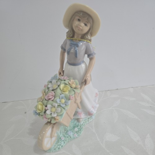 Annie rowe spring blossoms - rowe, "spring