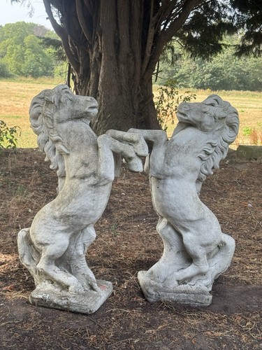 Pair rearing stallions garden - rearing,