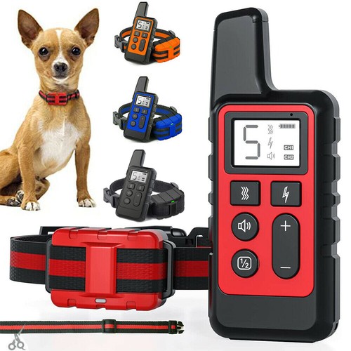 Big dog training collar - big,