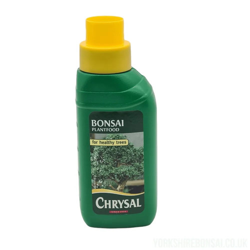 Bonsai feed plantfood chrysal - bonsai,