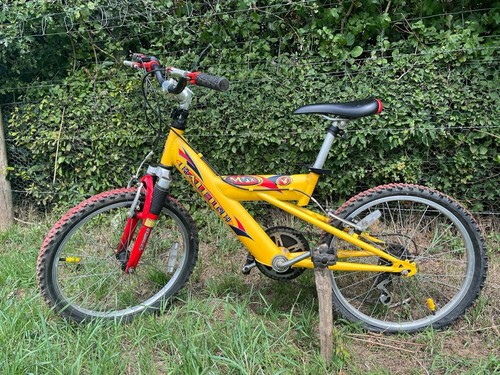 Raleigh max full - max, suspension