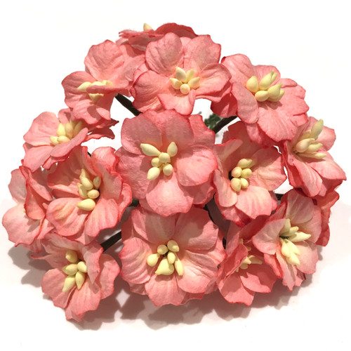 Salmon pink mulberry - pink,